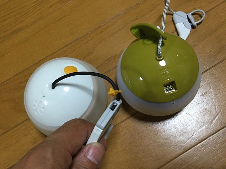 ほおずき ほおずき