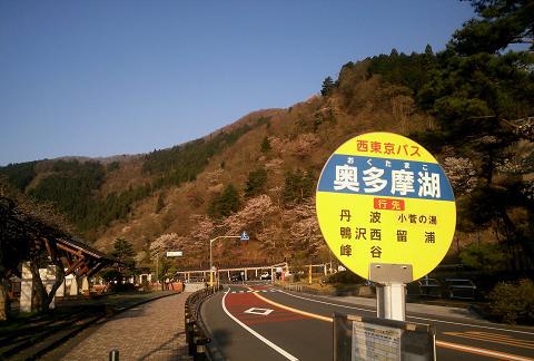 奥多摩三分のニ山♪ 奥多摩三分のニ山♪