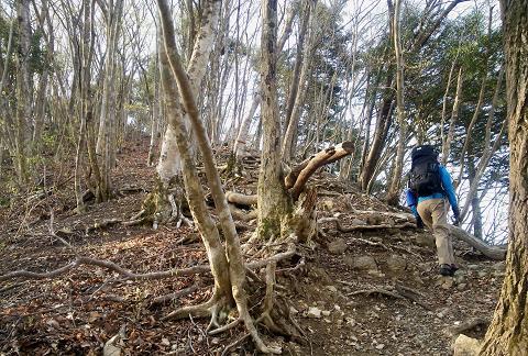 奥多摩三分のニ山♪ 奥多摩三分のニ山♪