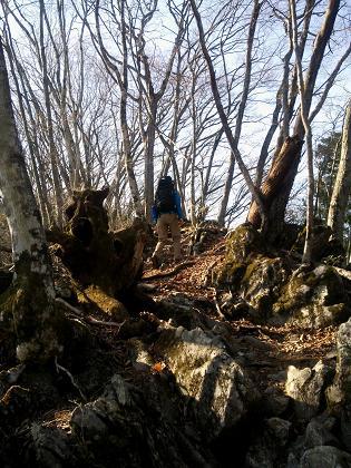 奥多摩三分のニ山♪ 奥多摩三分のニ山♪