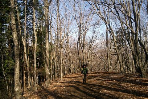 奥多摩三分のニ山♪ 奥多摩三分のニ山♪
