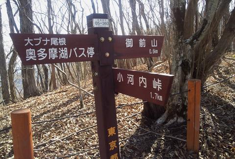 奥多摩三分のニ山♪ 奥多摩三分のニ山♪