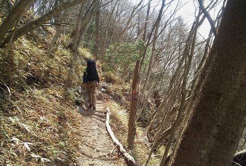 奥多摩三分のニ山♪ 奥多摩三分のニ山♪
