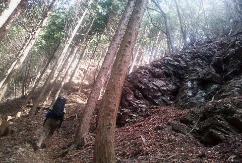 奥多摩三分のニ山♪ 奥多摩三分のニ山♪