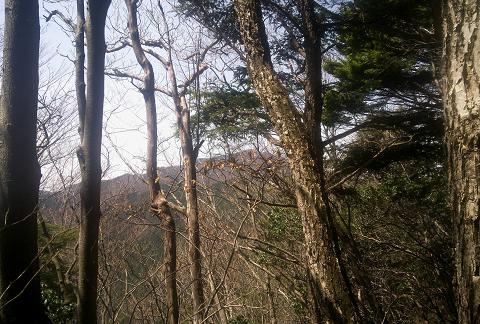 奥多摩三分のニ山♪ 奥多摩三分のニ山♪