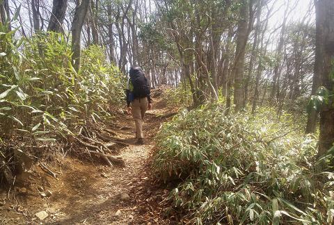 奥多摩三分のニ山♪ 奥多摩三分のニ山♪