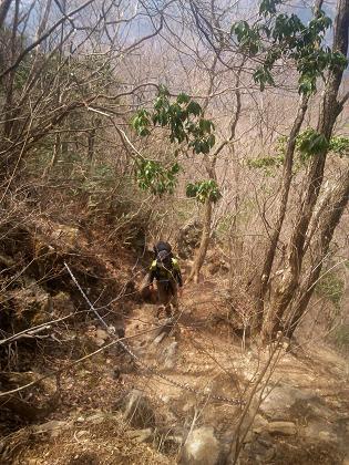 奥多摩三分のニ山♪ 奥多摩三分のニ山♪