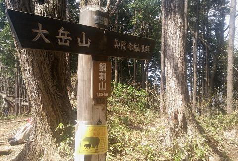 奥多摩三分のニ山♪ 奥多摩三分のニ山♪