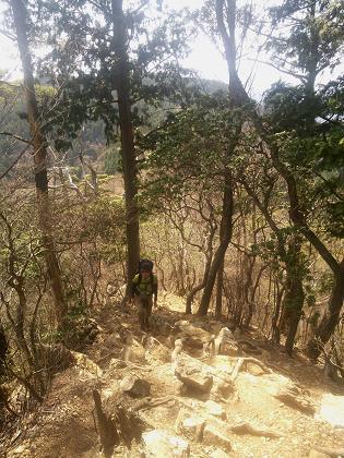 奥多摩三分のニ山♪ 奥多摩三分のニ山♪