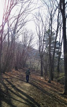 奥多摩三分のニ山♪ 奥多摩三分のニ山♪