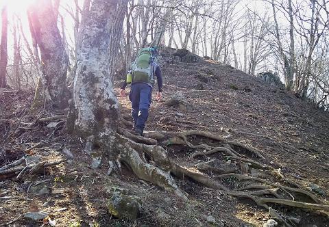 奥多摩三分のニ山♪ 奥多摩三分のニ山♪