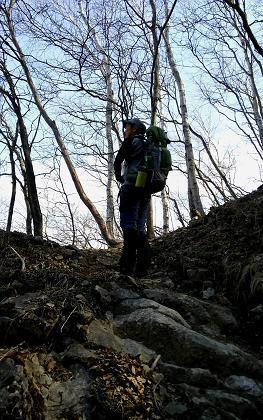奥多摩三分のニ山♪ 奥多摩三分のニ山♪