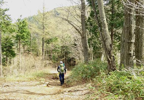 奥多摩三分のニ山♪ 奥多摩三分のニ山♪