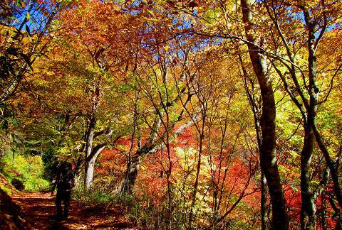 奥秩父を歩こう♪ ノンビリ絶景♪ 奥秩父を歩こう♪ ノンビリ絶景♪