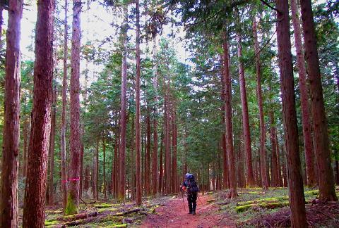 奥秩父を歩こう♪ 大河のにじみ( ̄▽ ̄)ゞ 奥秩父を歩こう♪ 大河のにじみ( ̄▽ ̄)ゞ