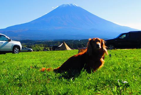 久し振り 壁|ω-o)ノ゙ 久し振り 壁|ω-o)ノ゙