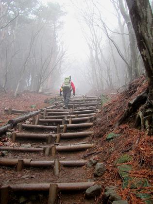2015最初の山登りも丹沢山で(ゝ∀・)b 2015最初の山登りも丹沢山で(ゝ∀・)b