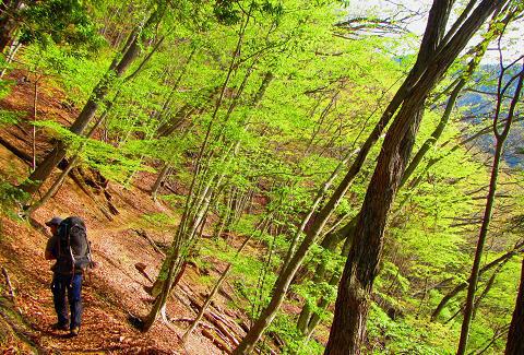 石尾根縦走で今年最初のテン泊登山♪ 石尾根縦走で今年最初のテン泊登山♪