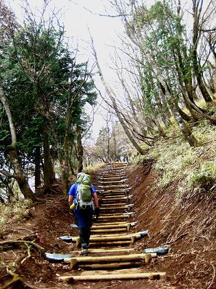 丹沢を歩こう♪ 東野~蛭ヶ岳♪ 丹沢を歩こう♪ 東野~蛭ヶ岳♪