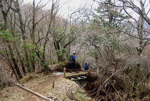 丹沢を歩こう♪ 東野~蛭ヶ岳♪ 丹沢を歩こう♪ 東野~蛭ヶ岳♪