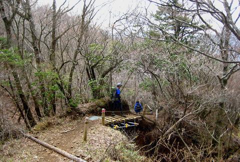 丹沢を歩こう♪　東野～蛭ヶ岳♪