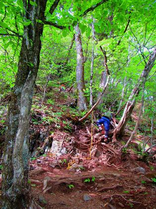 両神山を歩こう♪ 両神山を歩こう♪