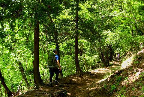 丹沢を歩こう♪ 蛭ヶ岳~丹沢山~大倉♪ 丹沢を歩こう♪ 蛭ヶ岳~丹沢山~大倉♪