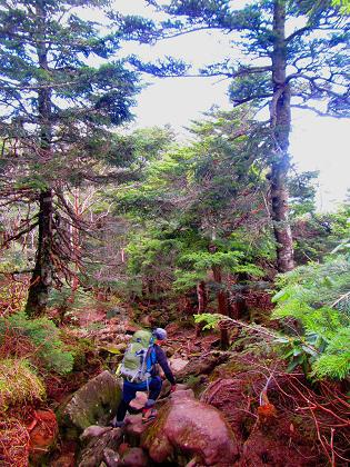 久し振りの北八ヶ岳 絶景満喫の天狗岳♪ 久し振りの北八ヶ岳 絶景満喫の天狗岳♪