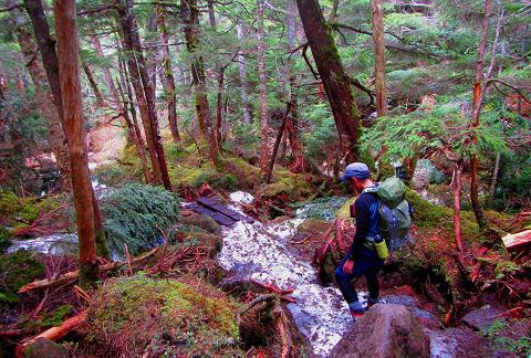 久し振りの北八ヶ岳 絶景満喫の天狗岳♪ 久し振りの北八ヶ岳 絶景満喫の天狗岳♪
