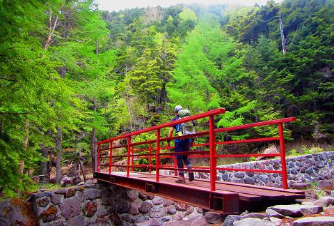 久し振りの北八ヶ岳 絶景満喫の天狗岳♪ 久し振りの北八ヶ岳 絶景満喫の天狗岳♪