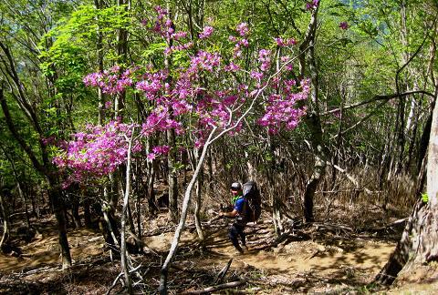 甲武信ヶ岳を歩こう♪ 絶景とテン場と♪ 甲武信ヶ岳を歩こう♪ 絶景とテン場と♪