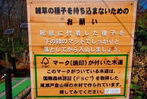 紅葉終わりの至仏山を歩こう♪ 紅葉終わりの至仏山を歩こう♪