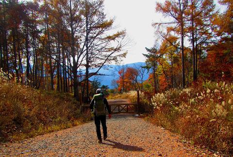 西岳♪ 今シーズン最後の八ヶ岳かな♪ 西岳♪ 今シーズン最後の八ヶ岳かな♪