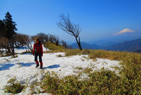 2015最初の山登りも丹沢山で(ゝ∀・)b 2015最初の山登りも丹沢山で(ゝ∀・)b