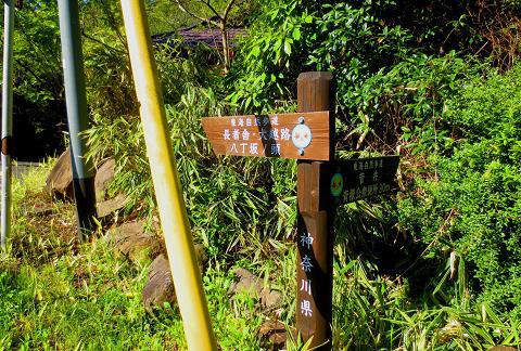 丹沢を歩こう♪　東野～蛭ヶ岳♪