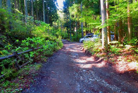 丹沢を歩こう♪ 東野~蛭ヶ岳♪ 丹沢を歩こう♪ 東野~蛭ヶ岳♪