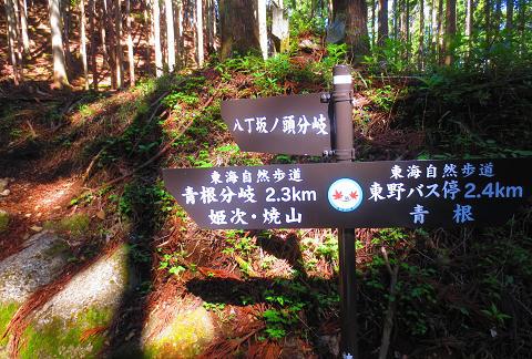 丹沢を歩こう♪　東野～蛭ヶ岳♪