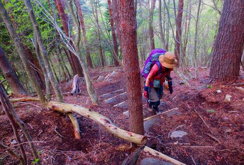 丹沢を歩こう♪ 東野~蛭ヶ岳♪ 丹沢を歩こう♪ 東野~蛭ヶ岳♪