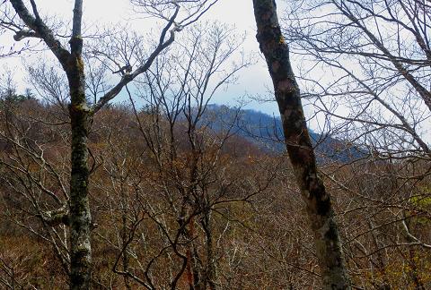 丹沢を歩こう♪　東野～蛭ヶ岳♪