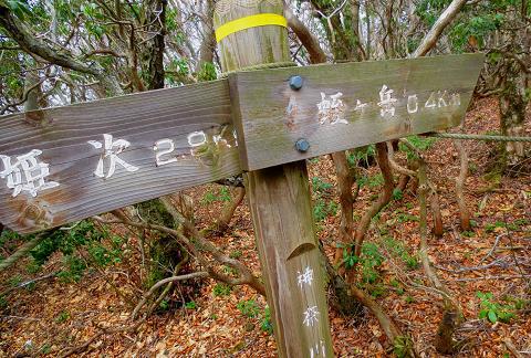 丹沢を歩こう♪　東野～蛭ヶ岳♪