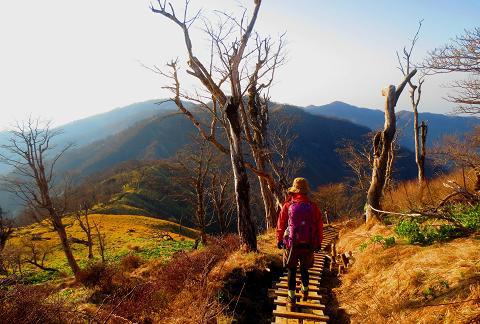 丹沢を歩こう♪ 蛭ヶ岳~丹沢山~大倉♪ 丹沢を歩こう♪ 蛭ヶ岳~丹沢山~大倉♪