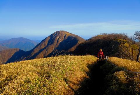 丹沢を歩こう♪ 蛭ヶ岳~丹沢山~大倉♪ 丹沢を歩こう♪ 蛭ヶ岳~丹沢山~大倉♪