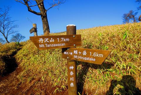 丹沢を歩こう♪ 蛭ヶ岳~丹沢山~大倉♪ 丹沢を歩こう♪ 蛭ヶ岳~丹沢山~大倉♪