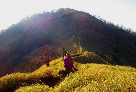 丹沢を歩こう♪ 蛭ヶ岳~丹沢山~大倉♪ 丹沢を歩こう♪ 蛭ヶ岳~丹沢山~大倉♪