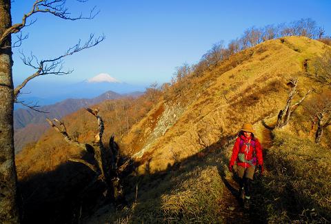 丹沢を歩こう♪ 蛭ヶ岳~丹沢山~大倉♪ 丹沢を歩こう♪ 蛭ヶ岳~丹沢山~大倉♪
