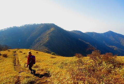 丹沢を歩こう♪ 蛭ヶ岳~丹沢山~大倉♪ 丹沢を歩こう♪ 蛭ヶ岳~丹沢山~大倉♪