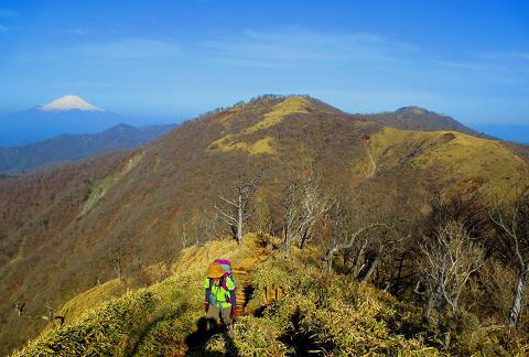 丹沢を歩こう♪ 蛭ヶ岳~丹沢山~大倉♪ 丹沢を歩こう♪ 蛭ヶ岳~丹沢山~大倉♪