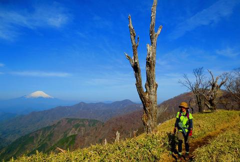 丹沢を歩こう♪ 蛭ヶ岳~丹沢山~大倉♪ 丹沢を歩こう♪ 蛭ヶ岳~丹沢山~大倉♪