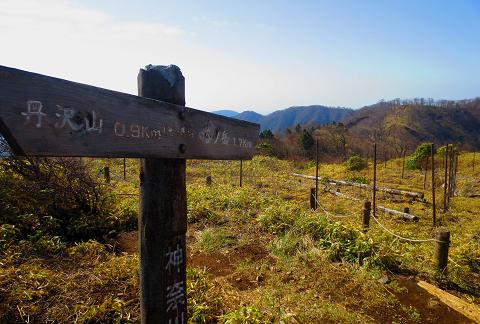 丹沢を歩こう♪ 蛭ヶ岳~丹沢山~大倉♪ 丹沢を歩こう♪ 蛭ヶ岳~丹沢山~大倉♪