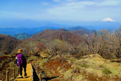 丹沢を歩こう♪ 蛭ヶ岳~丹沢山~大倉♪ 丹沢を歩こう♪ 蛭ヶ岳~丹沢山~大倉♪